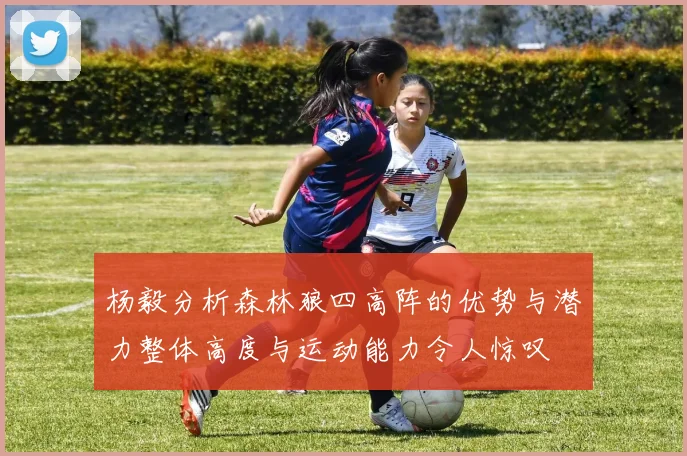 杨毅分析森林狼四高阵的优势与潜力整体高度与运动能力令人惊叹